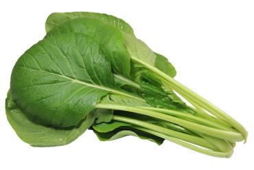 有機小松菜(尚未販售)