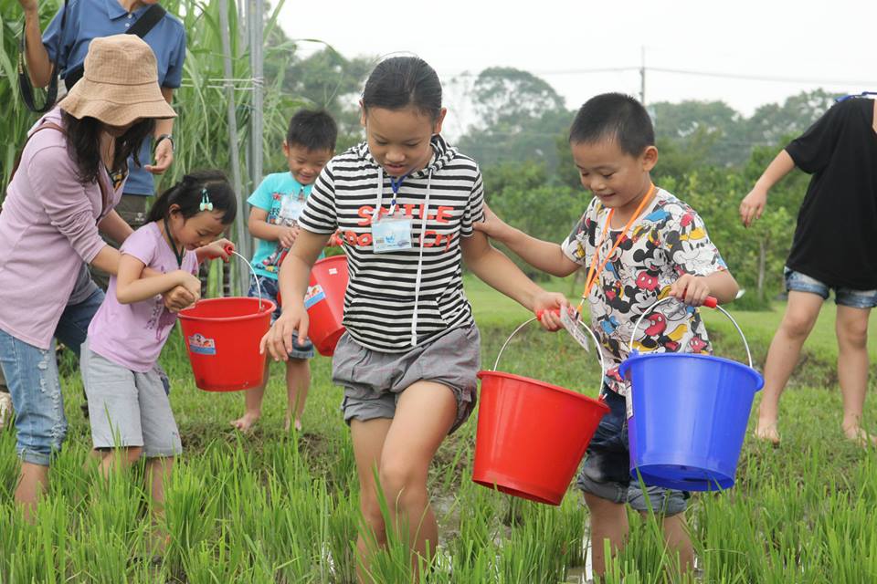 20150823-農糧署食農食米親子體驗營